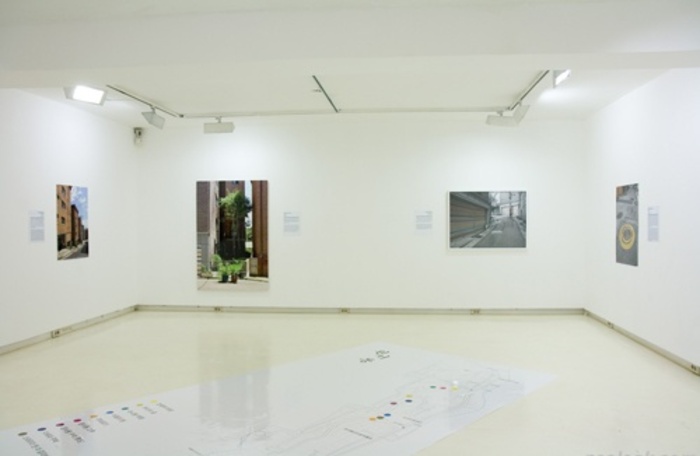 신지선01