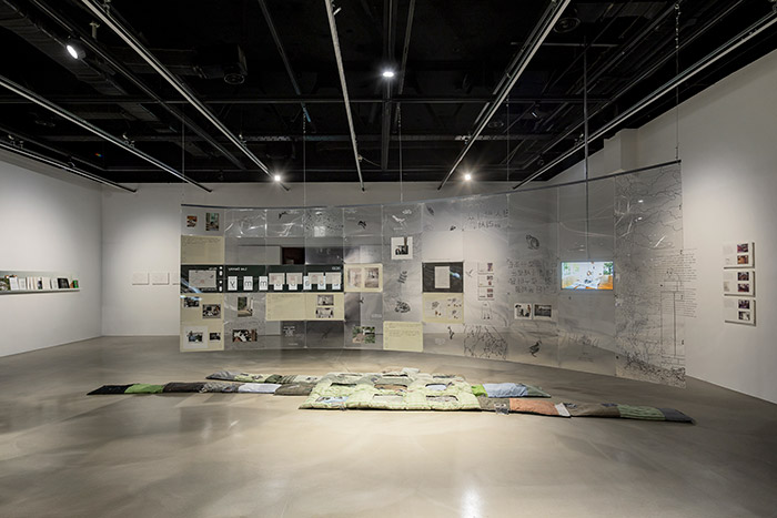 이다미, 〈덮어쓰기, 덮어씌우기〉  