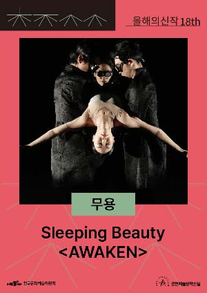 Sleeping Beauty <AWAKEN>  포스터
