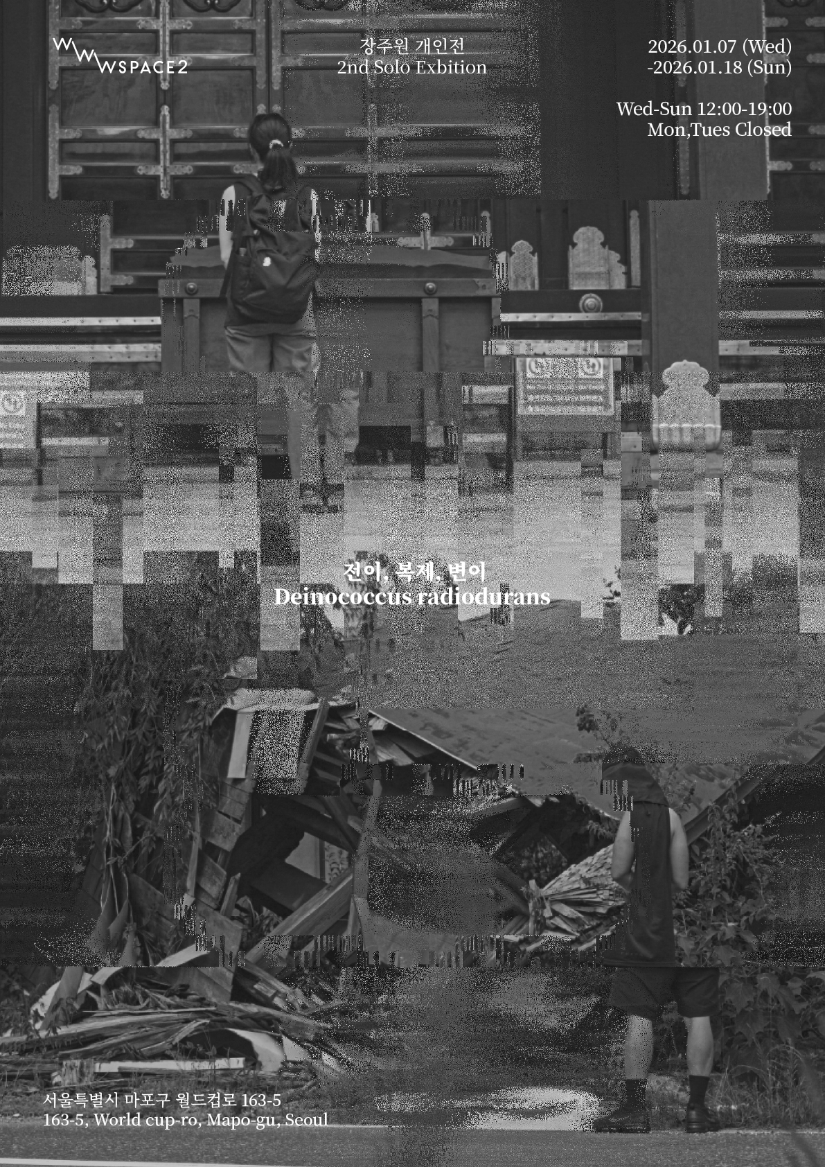 장주원 개인전 : 《전이, 복제, 변이》 이미지