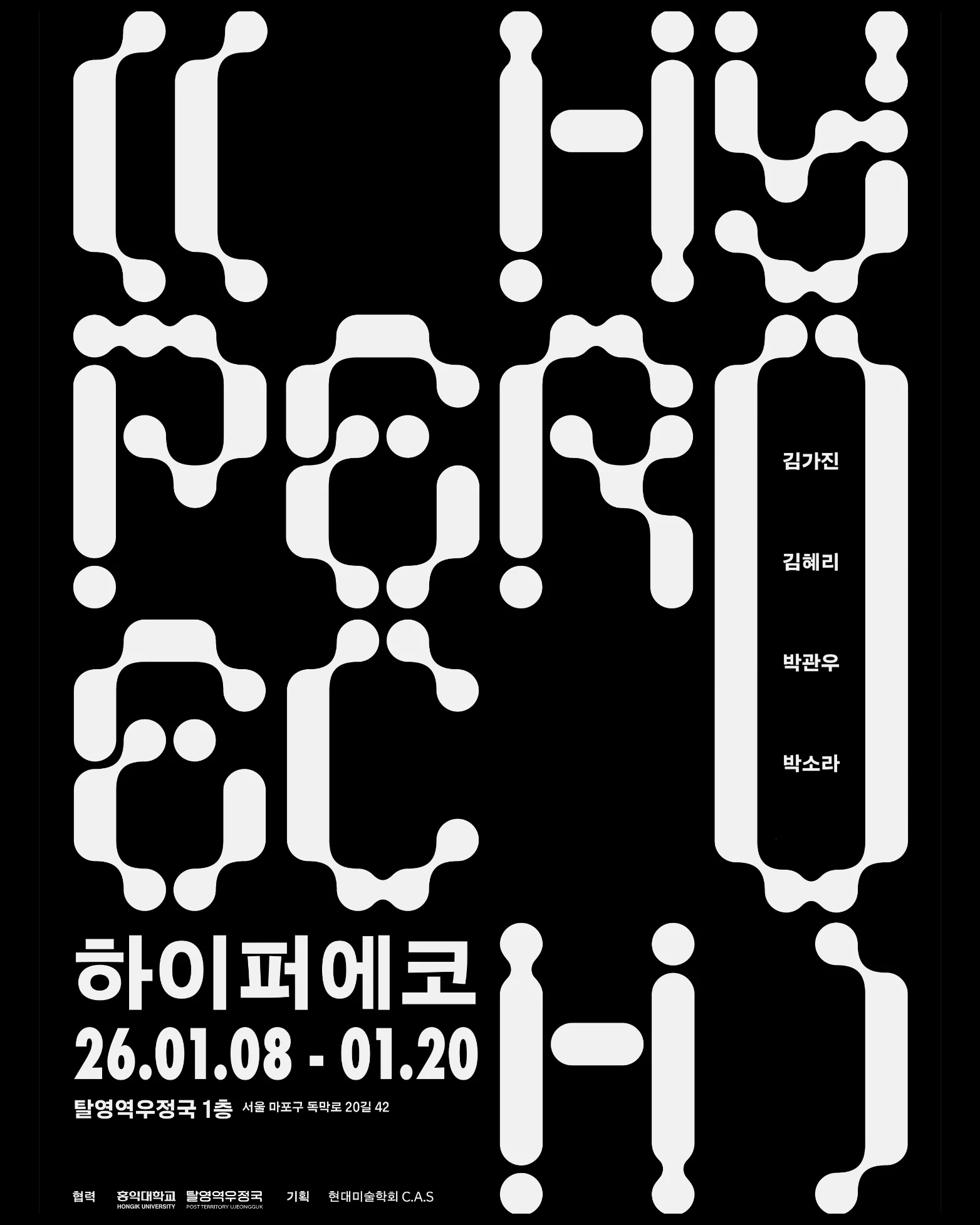 하이퍼에코 Hyperecho 이미지