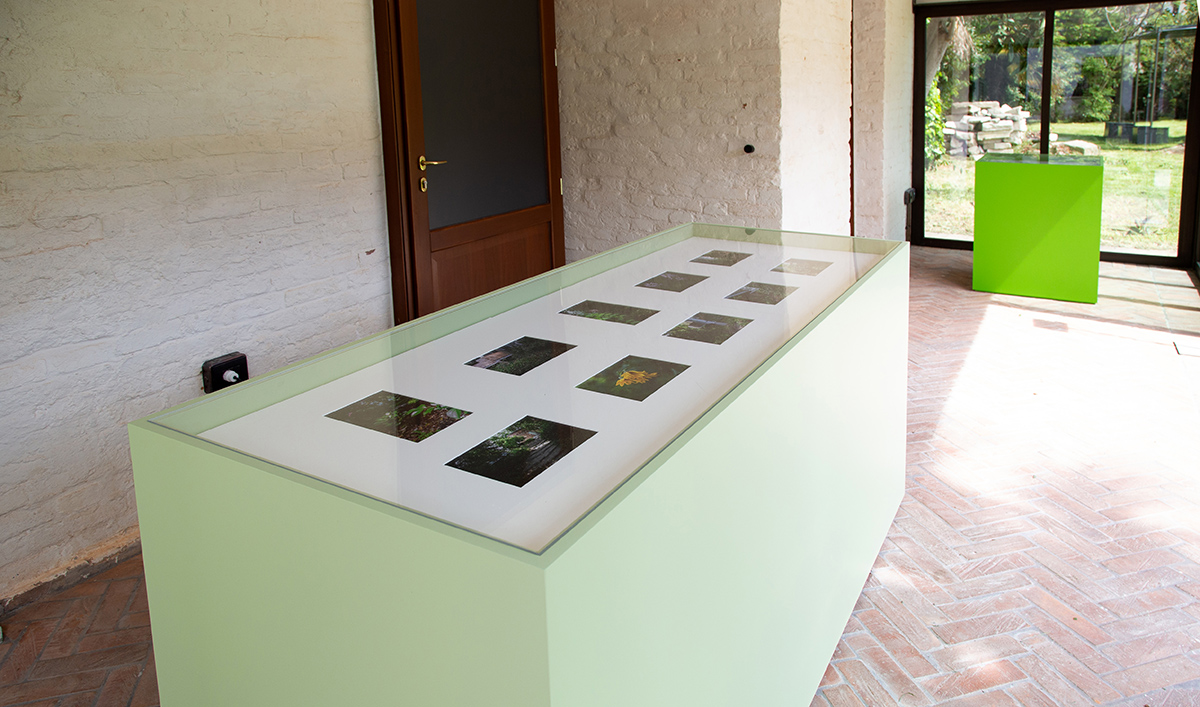 Hwayeon Nam, A Garden in Italy, 2019, archive, mixed
                  media, dimensions variable. Provided by Bf. photograph by
                  Hyunjung Kwon.